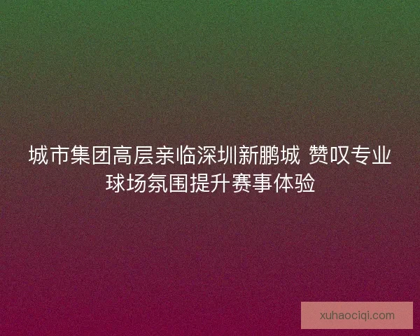 城市集团高层亲临深圳新鹏城 赞叹专业球场氛围提升赛事体验